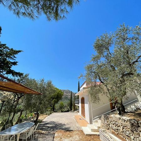 Colori Del Sud - Residence Mattinata Extérieur photo